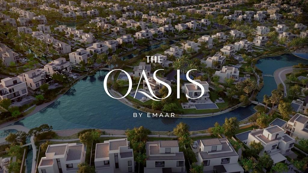 The Oasis